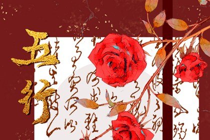 癸酉年五行运势详解：93出生的人缺少哪个元素？