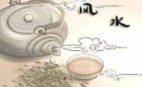 石榴木五行解析：缺什么与最佳搭配，喜欢什么颜色？