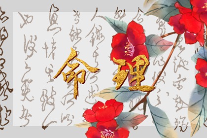 八字中劫财是什么意思 劫财在哪个柱上比较好